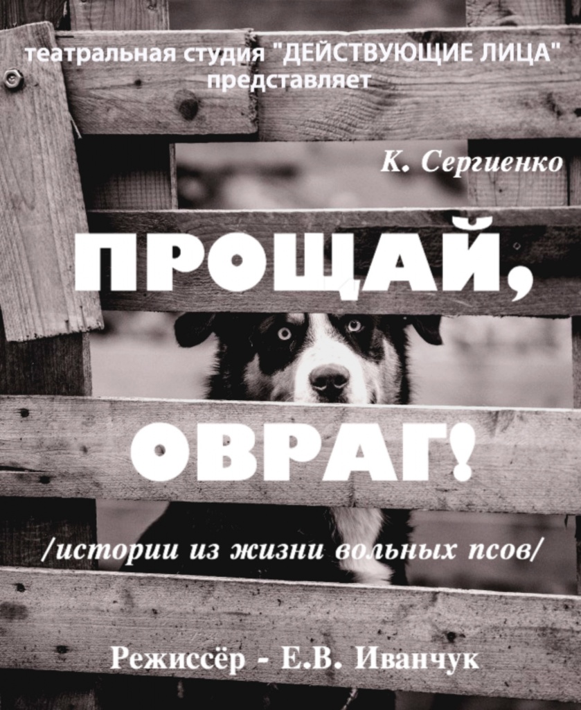 Приглашаем на показ спектакля «Прощай, Овраг!» « Орловский муниципальный  драматический театр 